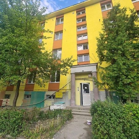 Mural Art Apartament Петрошань Екстер'єр фото