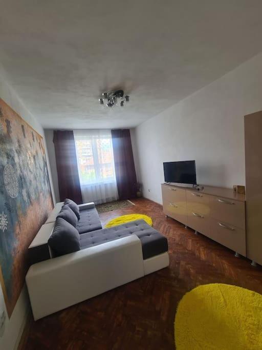 Mural Art Apartament Петрошань Екстер'єр фото