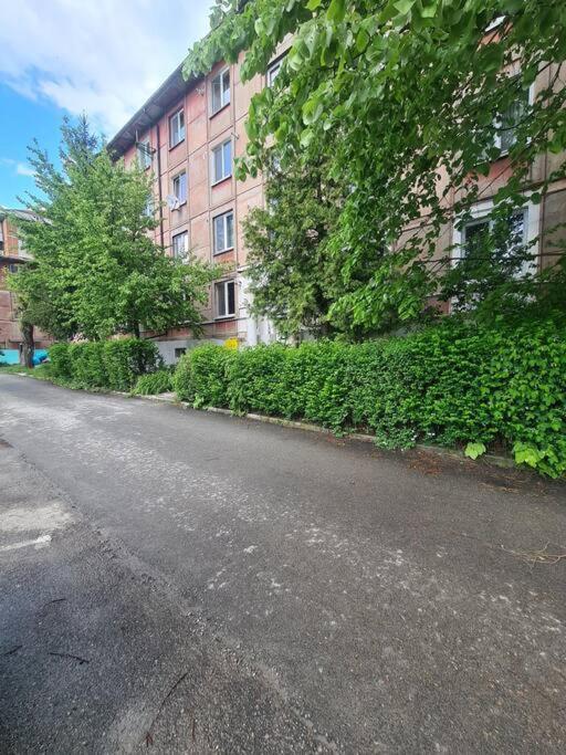 Mural Art Apartament Петрошань Екстер'єр фото